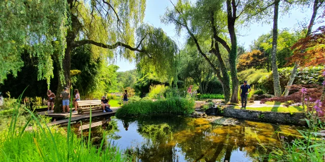 Des touristes visitent un jardin japonais avec bassins et arbres bien taillés aux Jardins aquatiques Acorus - Vallée de l'Ognon