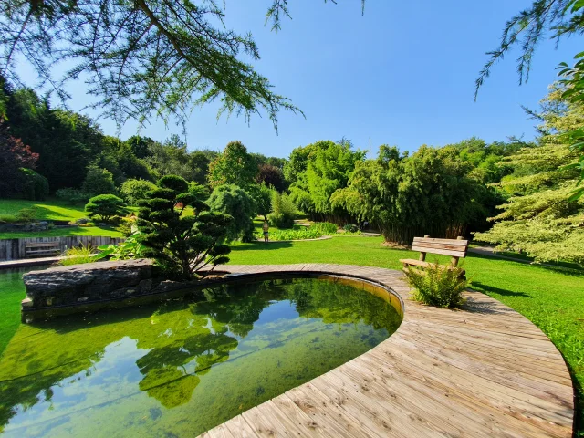 Jardin japonais avec bassins et arbres bien taillés aux Jardins aquatiques Acorus - Vallée de l'Ognon