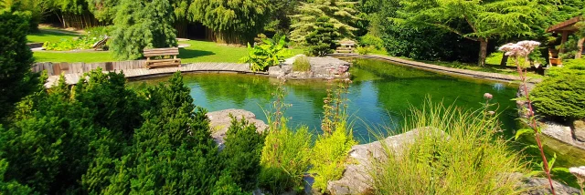 Panorama sur les Jardins Aquatiques d'Acorus avec étangs, arbres et fleurs - Vallée de l'Ognon