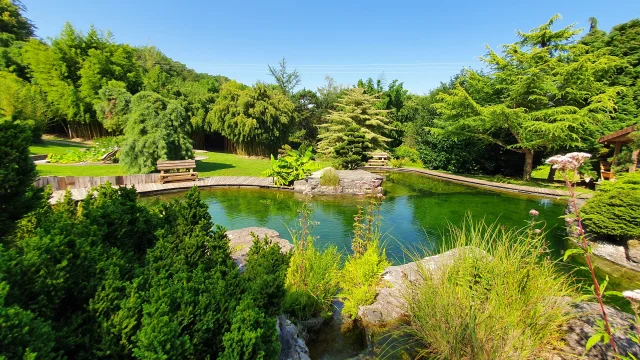 Panorama sur les Jardins Aquatiques d'Acorus avec étangs, arbres et fleurs - Vallée de l'Ognon