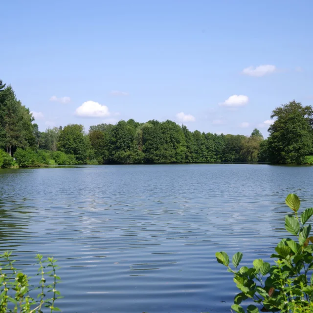 Lac de la Faïencerie de Rioz - Vallée de l'Ognon