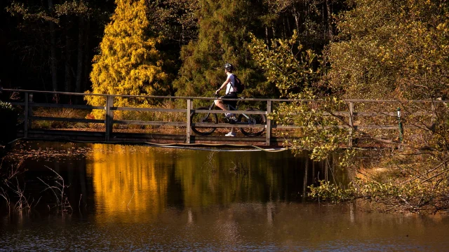 Un VTTiste fait une pause sur un pont au dessus d'un étang , dans les 1000 Etangs - Vosges du Sud