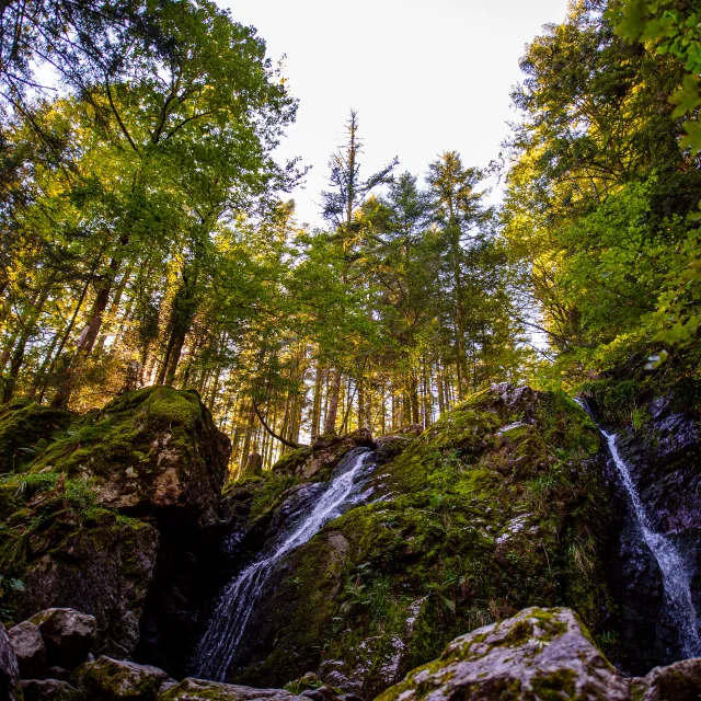 Wasserfall Goutte des Saules - Südvogesen