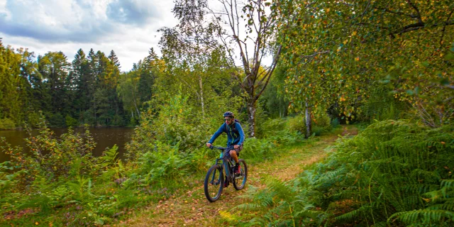 Un VTTiste arpente les forêts des 1000 Etangs - Vosges du Sud