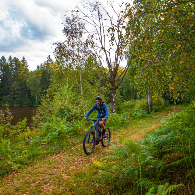 Un VTTiste arpente les forêts des 1000 Etangs - Vosges du Sud