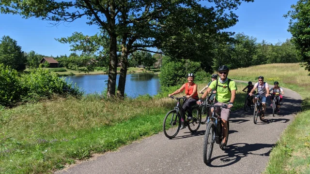 Un groupe de VTTistes arpente le Plateau des 1000 Etangs - Vosges du Sud