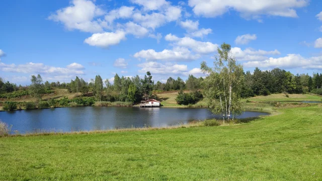 Plateau des Grilloux, étang avec chalet dans un cadre verdoyant - Vosges du Sud