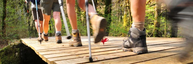 Des randonneurs traversent un ponton au-dessus d'un cours d'eau, en pleine forêt - Haute-Saône