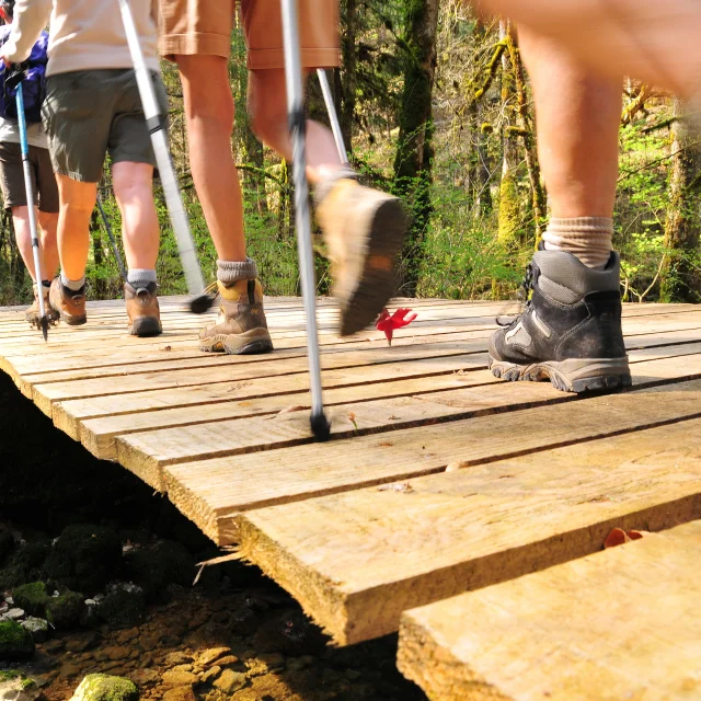 Des randonneurs traversent un ponton au-dessus d'un cours d'eau, en pleine forêt - Haute-Saône