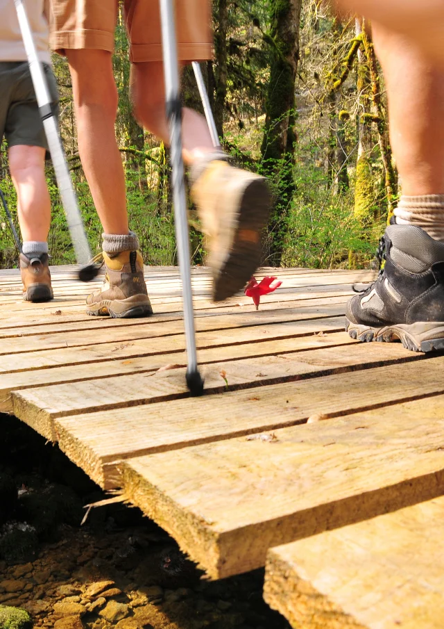 Des randonneurs traversent un ponton au-dessus d'un cours d'eau, en pleine forêt - Haute-Saône