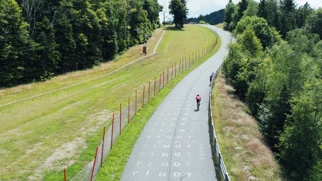 Un cycliste dans la montée de La Planche des Belles Filles - Vosges du Sud