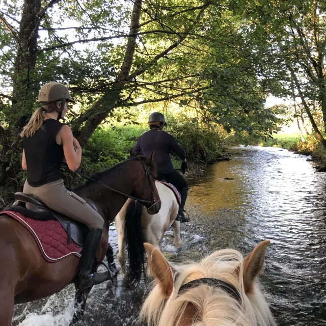 Des cavalières traversent une rivière à cheval - Tourisme équestre