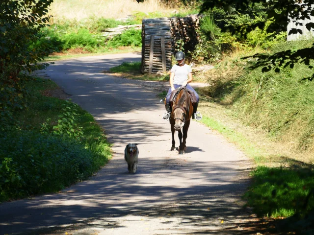 Une cavalière se promène avec son cheval et son chien sur les chemins des 1000 Etangs - Vosges du Sud, Haute-Saône