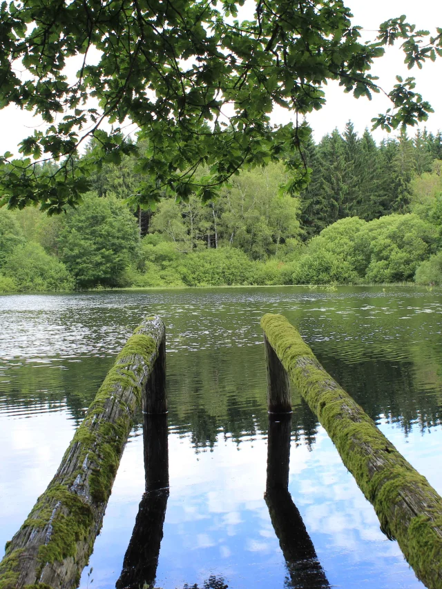 Etang à Saint-Bresson, que l'on découvre au détour du Circuit de Beviau - Plateau des 1000 étangs - Vosges du Sud