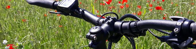 Vue sur un VTT posé dans un champ de coquelicots - Vallée de l'Ognon