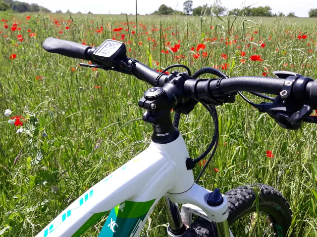 Vue sur un VTT posé dans un champ de coquelicots - Vallée de l'Ognon