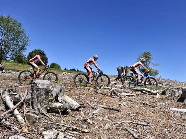 Un groupe de VTTistes arpente les Vosges du Sud