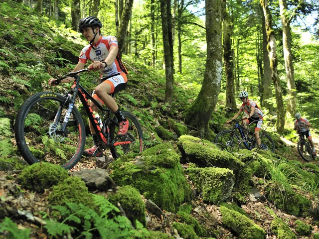 Un groupe de VTTistes descend à l'étang des Belles Filles en pleine forêt - Vosges du Sud