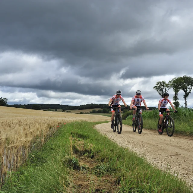 Un groupe de VTTistes arpente les Monts de Gy - Vallée de l'Ognon