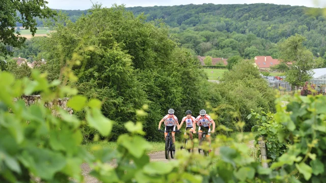 Un groupe de VTTistes arpente les Monts de Gy au milieu des vignes - Vallée de l'Ognon