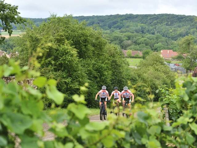 Un groupe de VTTistes arpente les Monts de Gy au milieu des vignes - Vallée de l'Ognon