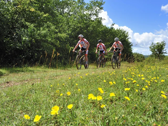 Un groupe de VTTistes arpente les Monts de Gy au milieu d'un champ fleuri, en bord de forêt - Vallée de l'Ognon