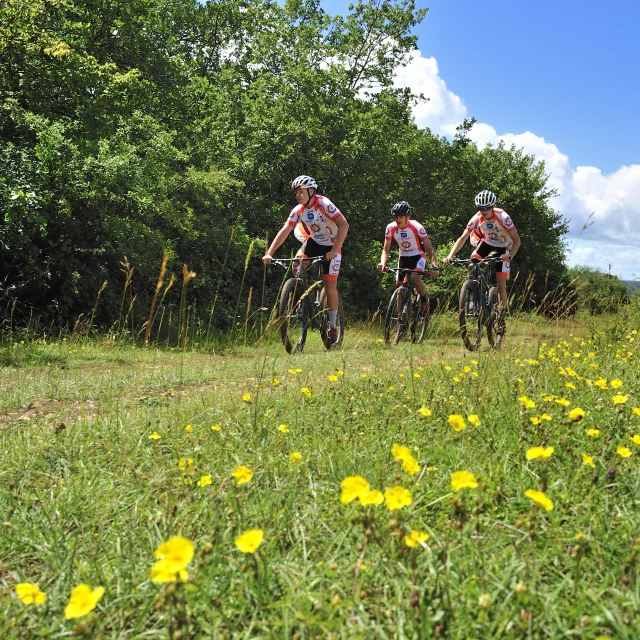 Un groupe de VTTistes arpente les Monts de Gy au milieu d'un champ fleuri, en bord de forêt - Vallée de l'Ognon