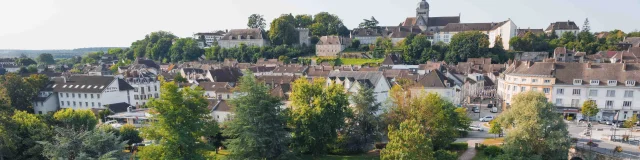 Vue aérienne de la Ville de Gray - On y voit la Saône, un jardin arboré et la Basilique Notre-Dame de Gray- Vesoul - Val de Saône