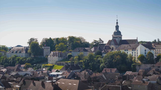 Vue aérienne des hauteurs de la Ville de Gray - On y voit la Basilique Notre-Dame de Gray et de nombreuses maison de Maître - Vesoul - Val de Saône