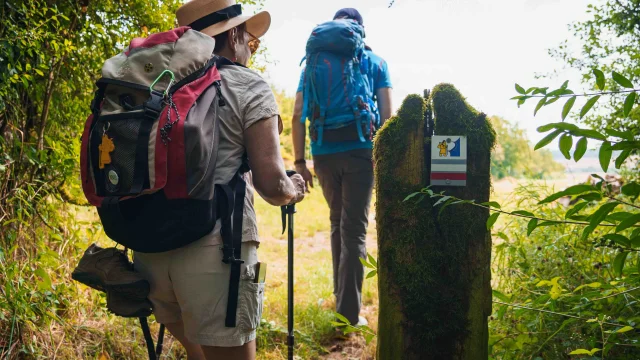 Des pèlerins randonnent sur le sentier de la Via Francigena - Vesoul - Val de Saône