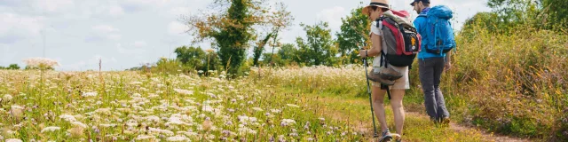 Des pèlerins randonnent sur le sentier de la Via Francigena - Vesoul - Val de Saône