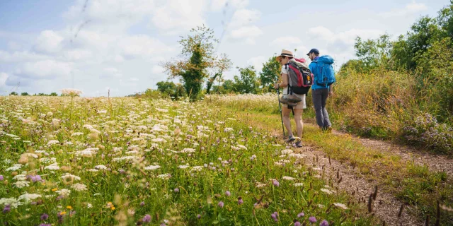 Des pèlerins randonnent sur le sentier de la Via Francigena - Vesoul - Val de Saône