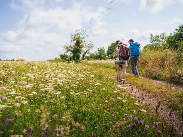 Des pèlerins randonnent sur le sentier de la Via Francigena - Vesoul - Val de Saône