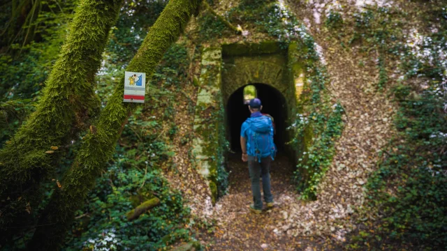 Des pèlerins randonnent sur le sentier de la Via Francigena - Vesoul - Val de Saône