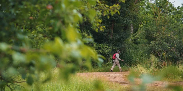 Un randonneur au détour d'un chemin. Il porte un sac de randonnée rouge et des bâtons - Vesoul - Val de Saône