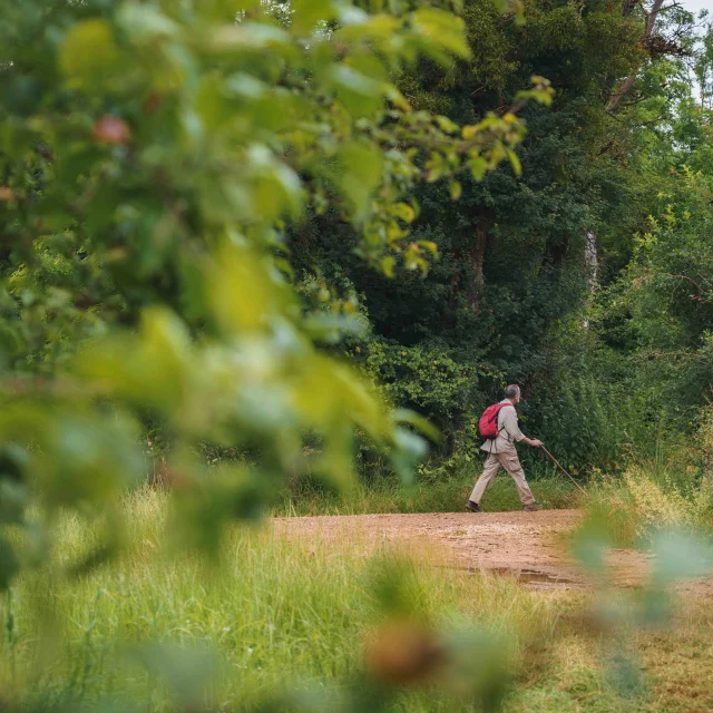 Un randonneur au détour d'un chemin. Il porte un sac de randonnée rouge et des bâtons - Vesoul - Val de Saône