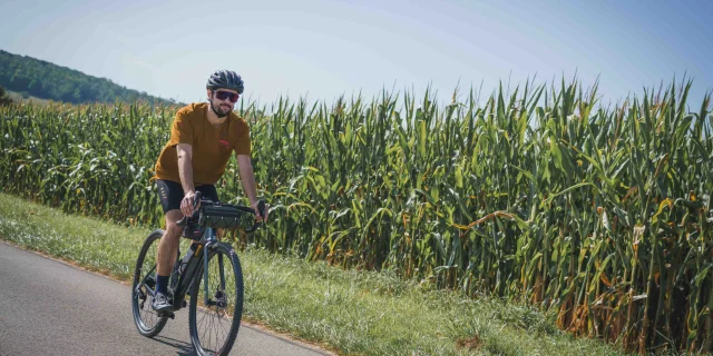 Un cycliste emprunte la Trace du Courlis qui permet de faire la liaison entre la V50 et l'EV6. Il et en pleine nature sur un site propre au milieu des champs de maïs - Vesoul - Val de Saône