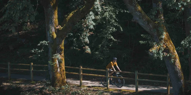 Un cycliste emprunte la Trace du Courlis qui permet de faire la liaison entre la V50 et l'EV6 - Vesoul - Val de Saône