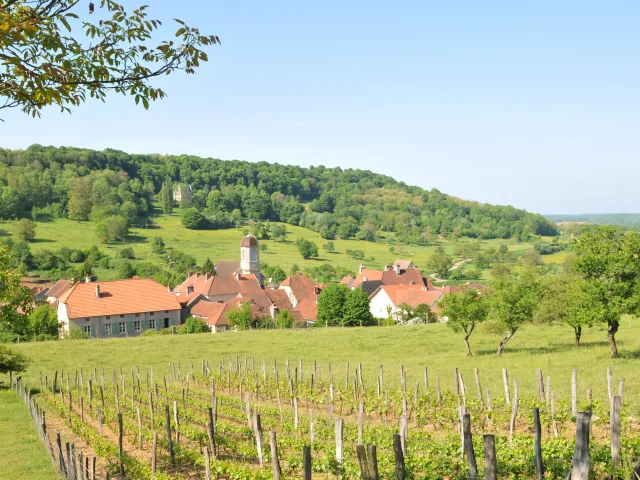 Vue panoramique sur la Cité de caractère de Chariez, entourée de prairies, de forêts et de vignes - Vesoul-Val de Saône