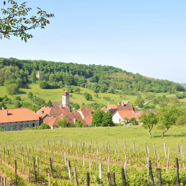 Vue panoramique sur la Cité de caractère de Chariez, entourée de prairies, de forêts et de vignes - Vesoul-Val de Saône