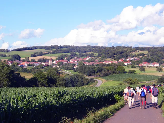 Un groupe de randonneurs suivent le sentier de la mirabelle dans le Pays de Villersexel. Ils cheminent sur la route, entourés de verdure, alors qu'en arrière-plan apparait un village - Vallée de l’Ognon