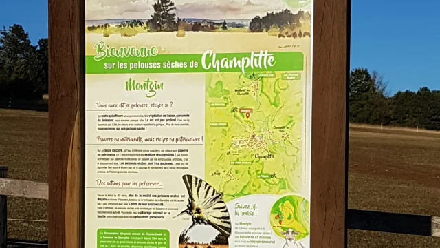 Panneau de départ avec tracé et explication du sentier d'interprétation des pelouses sèches à Champlitte - Vesoul-Val de Saône