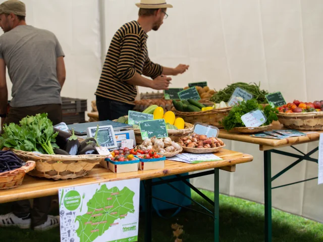 Des procureurs de légumes bio arrangent leurs stand aux Rendez-vous Gourmands du Château de Ray-sur-Saône - Vesoul-Val de Saône