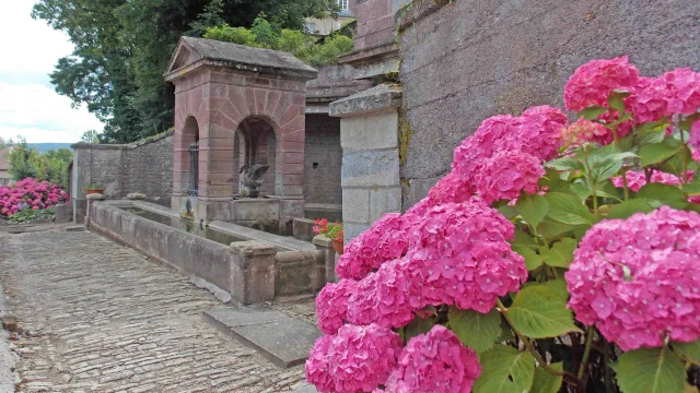 La Fontaine du cygne, en grès rose en hémicycle à portique, de la Cité de caractère de Montbozon - Vallée de l'Ognon