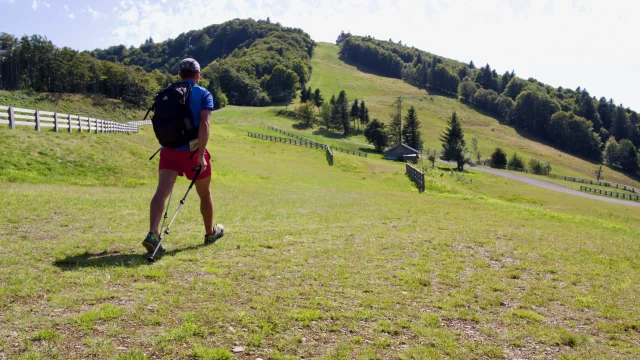 Un randonneur se dirige vers le sommet de La Planche des Belles Filles - Vosges du Sud