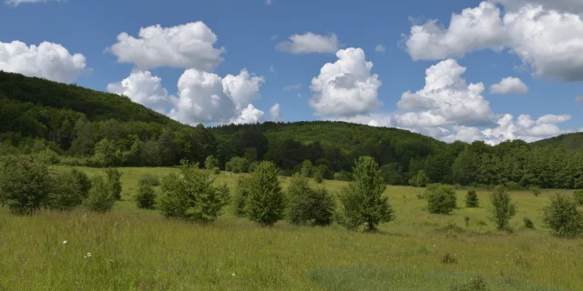 Vue panoramique sur les pelouses sèches des Monts de Gy - Vallée de l'Ognon