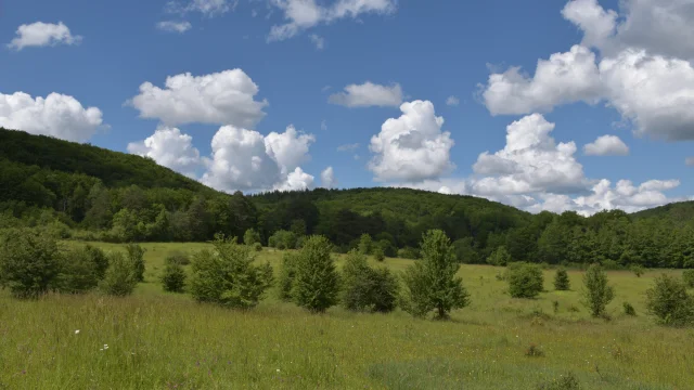 Vue panoramique sur les pelouses sèches des Monts de Gy - Vallée de l'Ognon