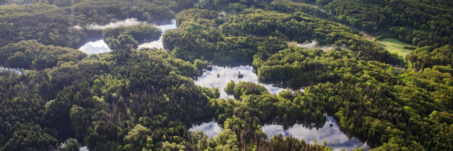 Vue aérienne des 1000 Étangs montrant la mosaïque d'étangs et de forêt qui composent ce paysage emblématique, surnommé « La Petite Finlande ». En arrière-plan, on perçoit les premiers reliefs du Massif des Vosges - Plateau des 1000 Étangs - Vosges du Sud