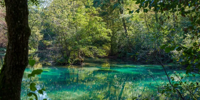 Résurgence de la Reigne avec des couleurs mystérieuses en pleine forêt - Vosges du Sud