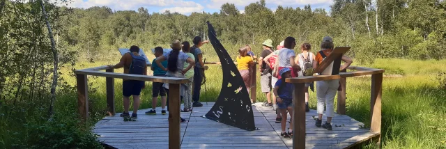 Des randonneurs découvrent la Tourbière de la Grande Pile à Saint-Germain - Vosges du Sud - Haute-Saône